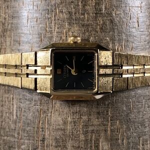 Citizen Men's Watch with Gold Band and Black Dial